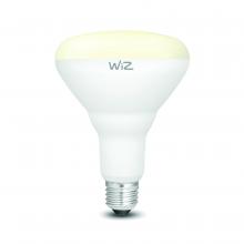 LED Bulbs